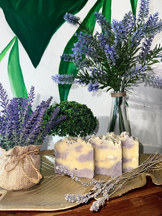 Lavanda
